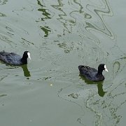 DSC01383