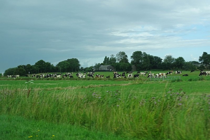DSC01447