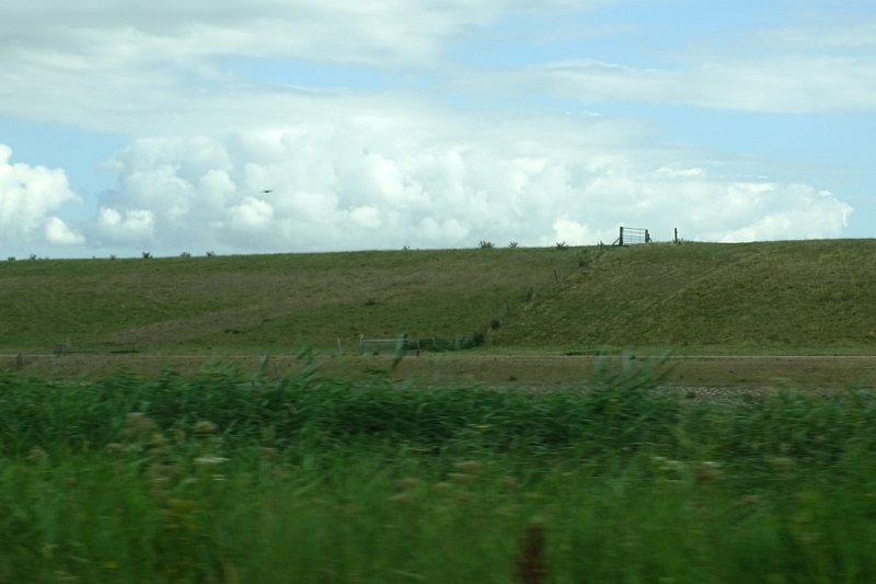 DSC01449
