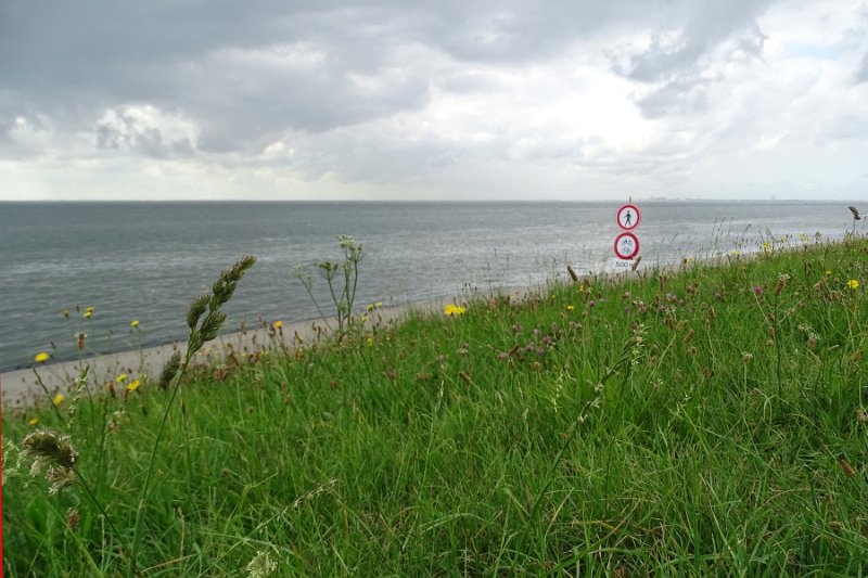 DSC01489