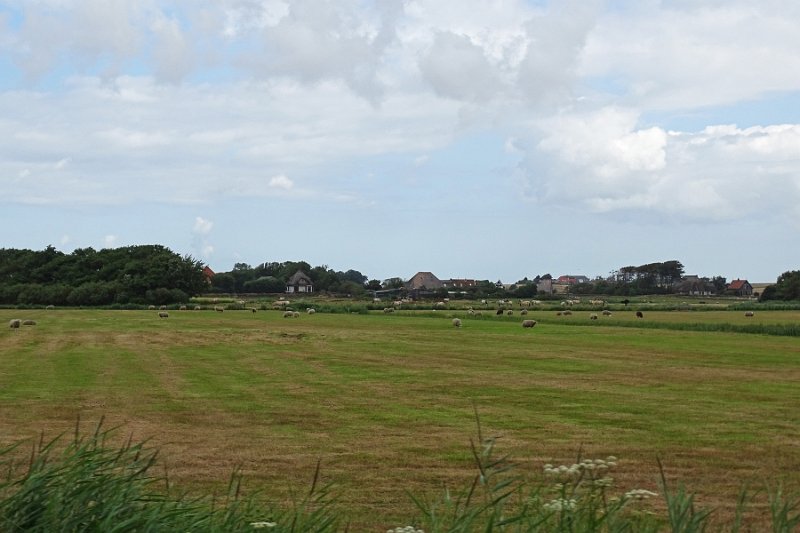 DSC01492