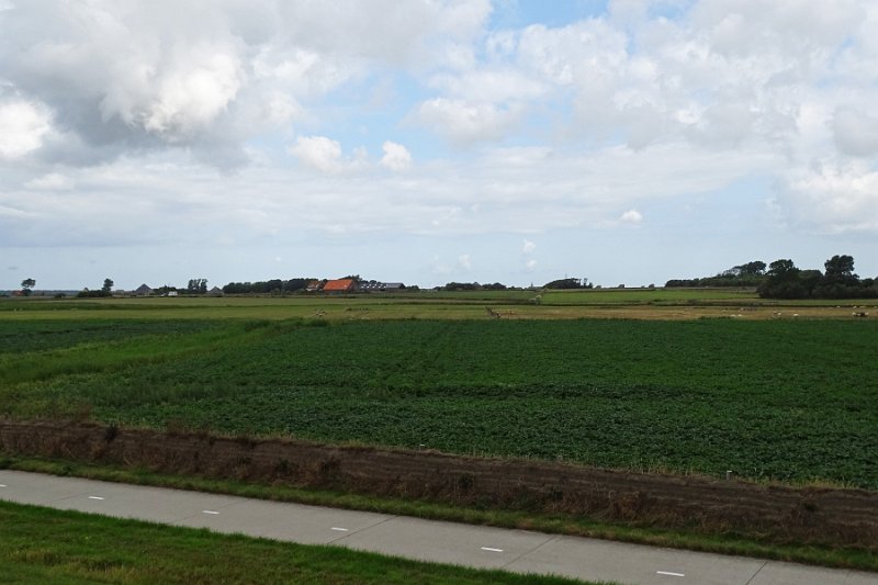 DSC01493