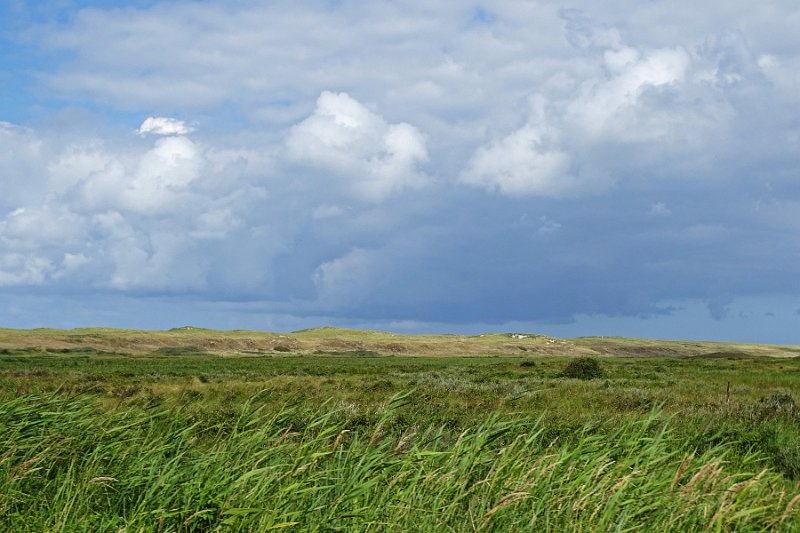 DSC01496