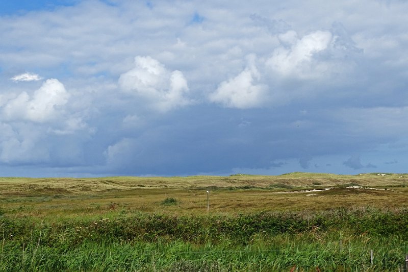 DSC01498