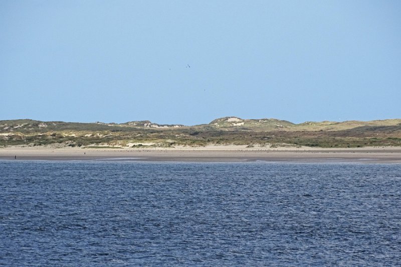 DSC01565