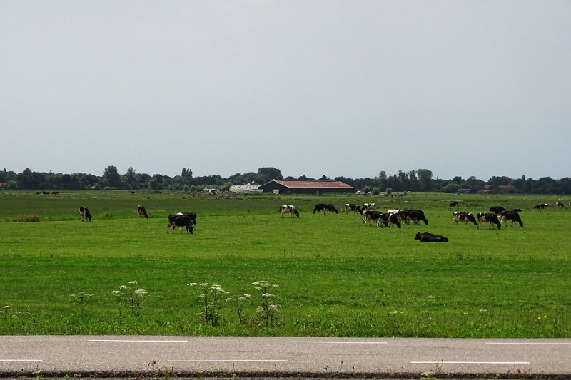 DSC01585