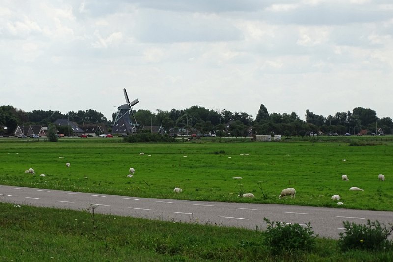 DSC01587