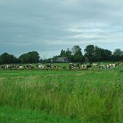 DSC01447