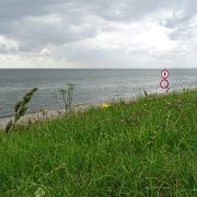 DSC01489