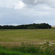 DSC01491