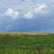 DSC01497