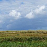 DSC01498