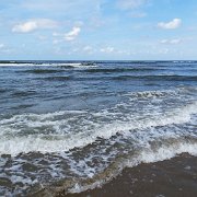 DSC01516