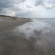 DSC01537