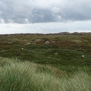 DSC01554