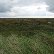DSC01555