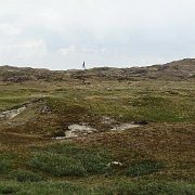 DSC01556