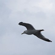 DSC01563