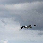 DSC01575