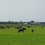 DSC01584