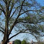 DSC01712