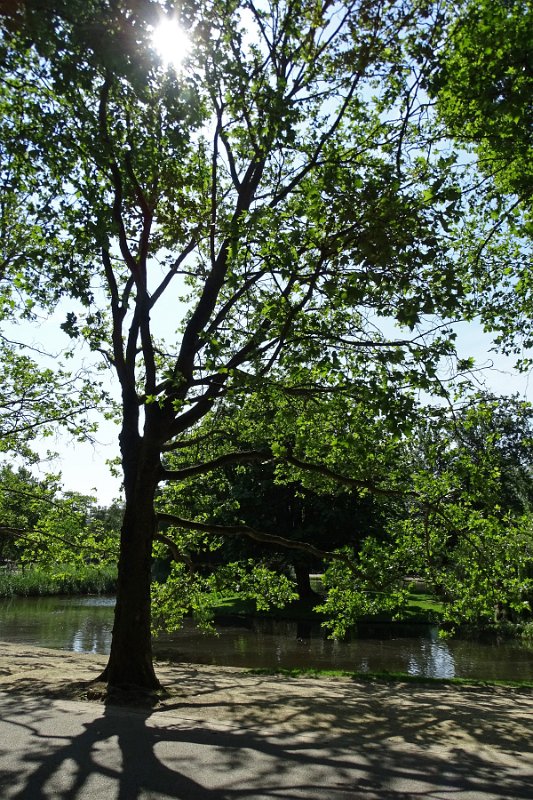 DSC01760