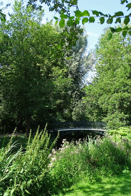 DSC01771