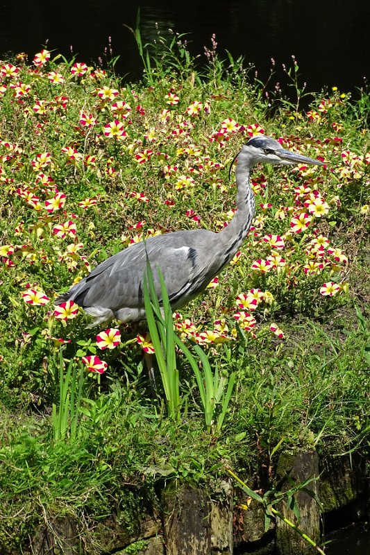 DSC01790