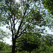 DSC01760