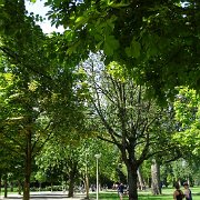 DSC01763