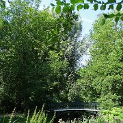 DSC01771