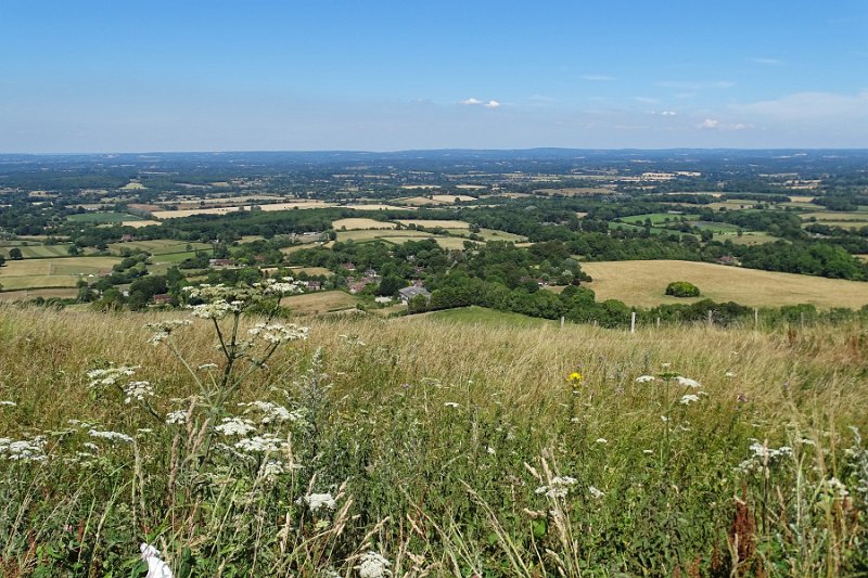 DSC06860