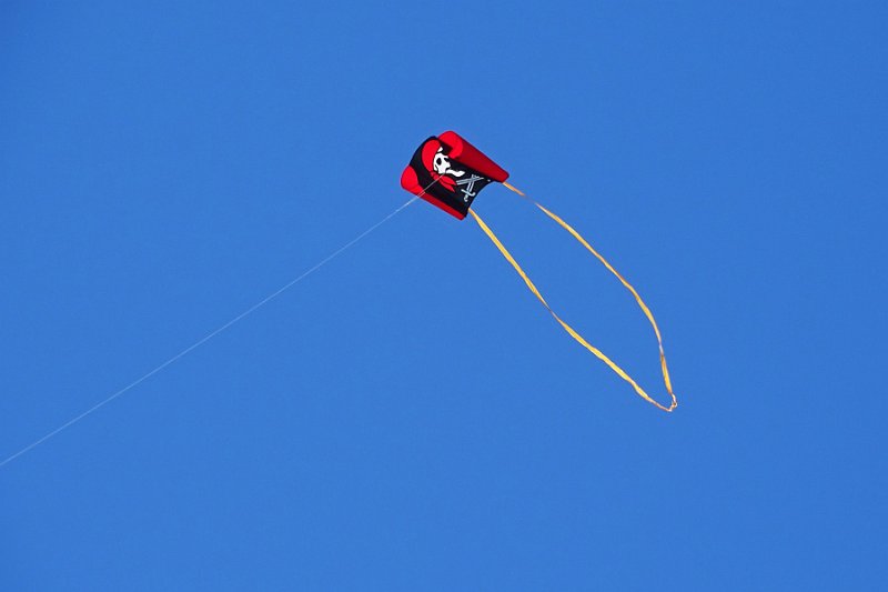 DSC06884