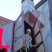 DSC06936