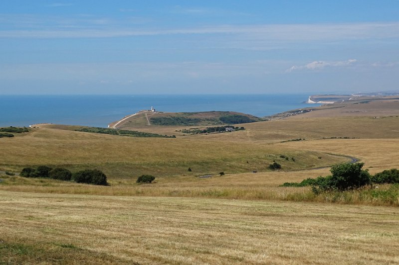DSC06991