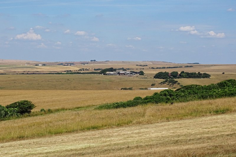 DSC07008