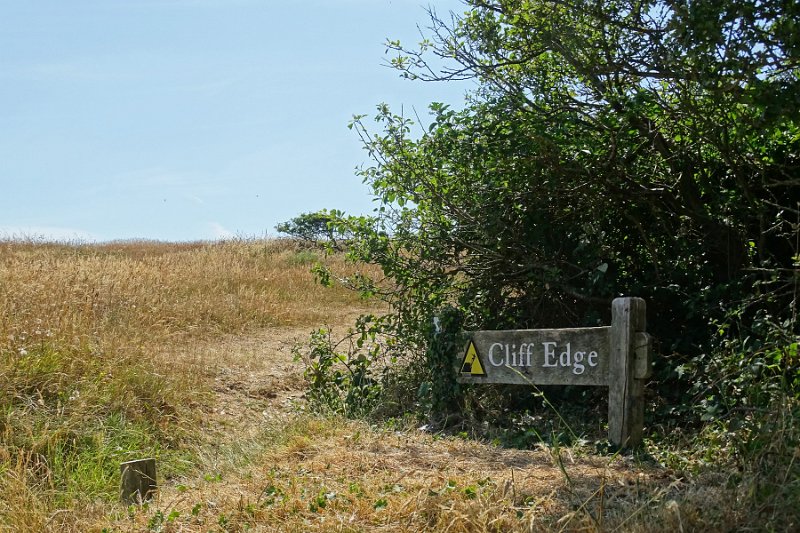 DSC07011