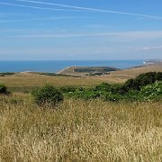 DSC06987