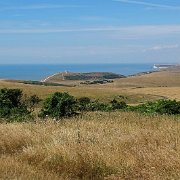 DSC06989