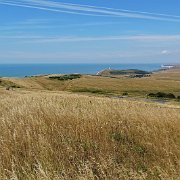 DSC07007