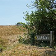 DSC07011