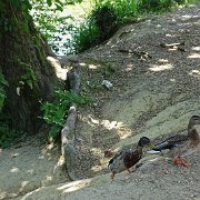 DSC07034