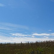 DSC07054