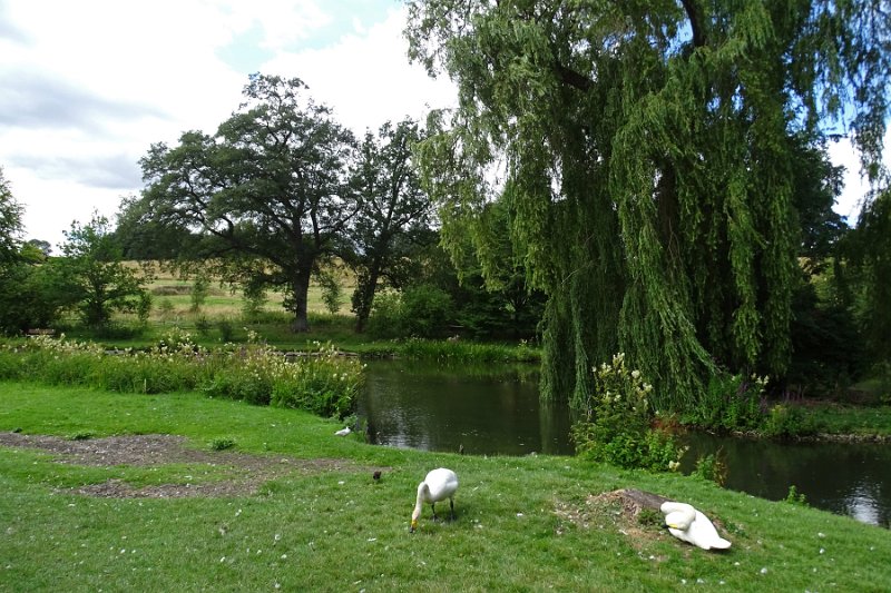 DSC07192