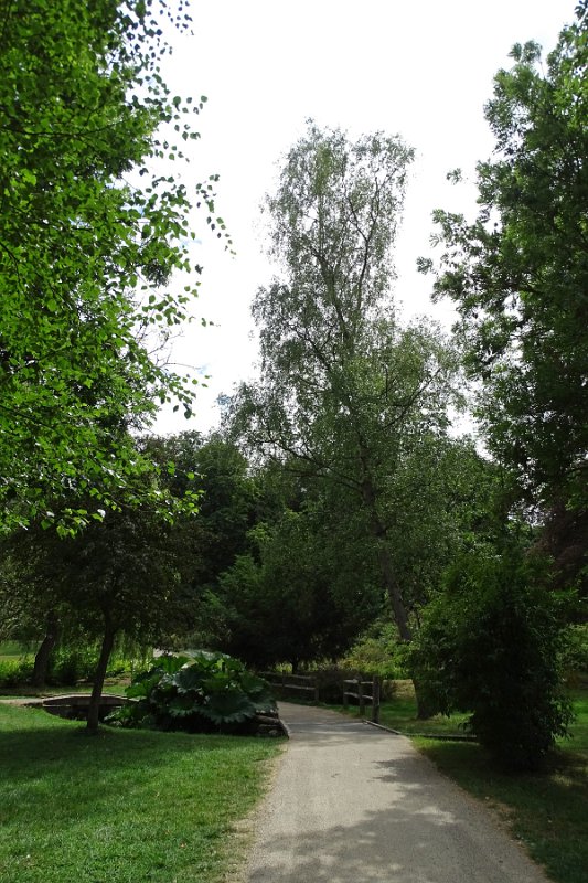 DSC07198
