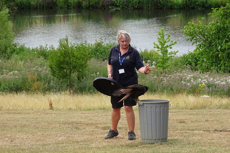 DSC07247