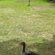 DSC07177