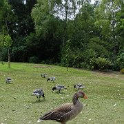 DSC07179