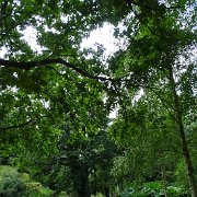 DSC07188