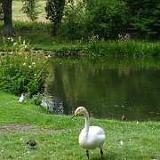DSC07189